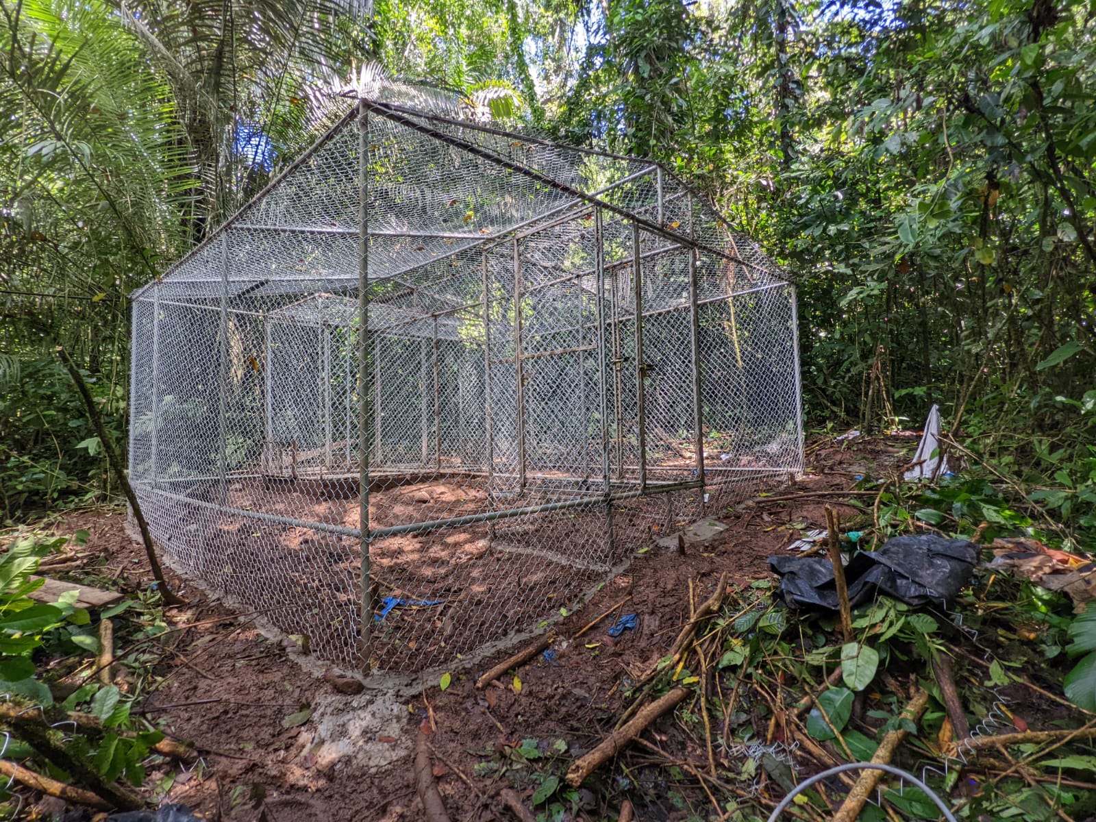 Ramón Amazonian conservation