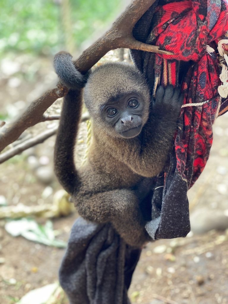 Ramón
